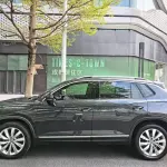 Volkswagen Tayron 2019 из Китая