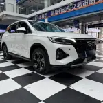 GAC Motor Trumpchi GS4 2022 из Китая