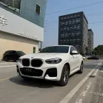BMW X4 2020 184 л.с. 184 л.с. 184 л.с. 184 л.с. из Китая