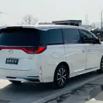 GAC Motor Trumpchi M8 2021 252 л.с. — лот 57820868 из Китая