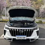 GAC Motor GS4 Plus 2024 из Китая