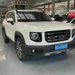 Haval Big Dog 2022 169 л.с. 169 л.с. из Китая