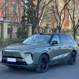 Wey Wey Lanshan 2025 из Китая