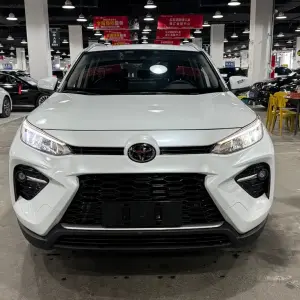 Toyota Wildlander 2021 из Китая