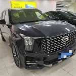 GAC Motor Trumpchi GS8 2022 252 л.с. 252 л.с. из Китая