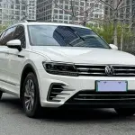 Volkswagen Tiguan L New Energy 2021 из Китая