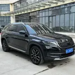 Skoda Kodiaq 2018 из Китая