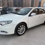 BYD Surui 2016 из Китая