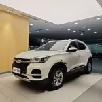 Chery Tiggo 5x 2019 из Китая