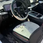 Haval Shenshou 2022 из Китая