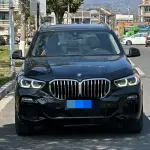 BMW X5 (Import) 2020 из Китая