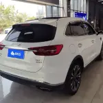Hongqi Hongqi HS5 2021 из Китая
