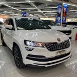 Skoda Karoq 2022 из Китая