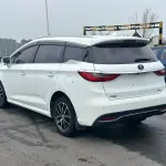 BYD MAX 2018 из Китая