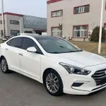 Hyundai Mistra 2018 из Китая