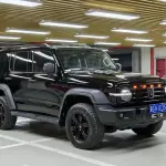 Tank Tank 300 2021 из Китая