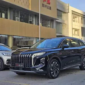 Hongqi Hongqi HS7 PHEV 2024 из Китая