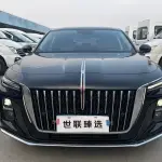 Hongqi Hongqi H5 2023 из Китая