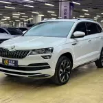 Skoda Karoq 2022 из Китая
