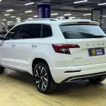 Skoda Karoq 2022 из Китая