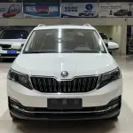 Skoda Kamiq 2022 из Китая