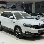 Skoda Kamiq 2022 из Китая