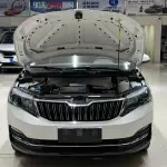 Skoda Kamiq 2022 из Китая