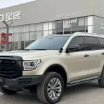 Tank Tank 500 New Energy 2025 из Китая