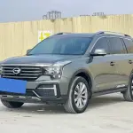 GAC Motor Trumpchi GS8 2021 из Китая