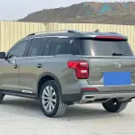 GAC Motor Trumpchi GS8 2021 из Китая