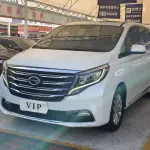 GAC Motor Trumpchi M8 2019 из Китая