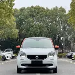 smart Smart Forfour 2017 из Китая