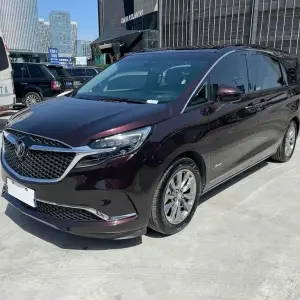Buick GL8 2021 237 л.с. — лот 56016903 из Китая