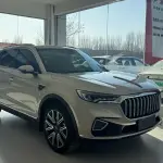 Hongqi Hongqi HS5 2023 из Китая