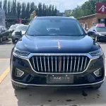 Hongqi Hongqi HS5 2021 из Китая