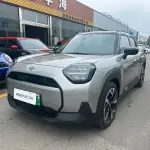 MINI MINI ACEMAN EV 2025 из Китая