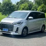 大通 G20 2023 из Китая