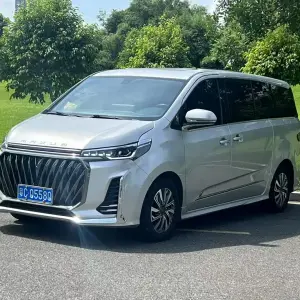 大通 G20 2023 из Китая