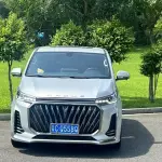 大通 G20 2023 из Китая