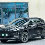 Neta Neta X 2023 из Китая