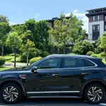 Hongqi Hongqi HS5 2023 224 л.с. 224 л.с. 224 л.с. из Китая