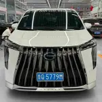 GAC Motor Trumpchi M8 2023 190 л.с. 190 л.с. из Китая