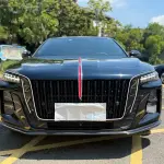 Hongqi Hongqi H5 2024 169 л.с. — лот 56493525 из Китая