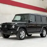 Mercedes-Benz G-Class 2011 из Китая