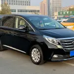 GAC Motor Trumpchi M8 2018 из Китая