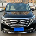 GAC Motor Trumpchi M8 2018 из Китая