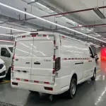 JAC Bluecat 2024 из Китая