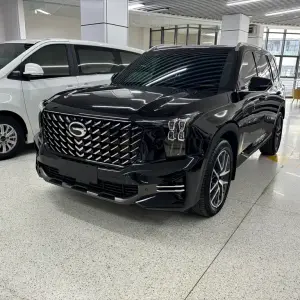 GAC Motor Trumpchi GS8 2023 из Китая