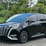 Denza Denza D9 2024 из Китая