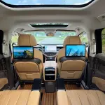 Denza Denza D9 2024 из Китая
